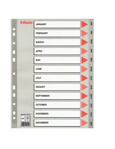 Separatore in PPL grigio mensile GEN-DIC f.to A4 ESSELTE 100114 ESSELTE DIVISORI-SEPARATORI CON TASTI STAMPATI