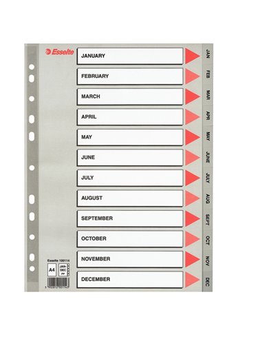Separatore in PPL grigio mensile GEN-DIC f.to A4 ESSELTE 100114 ESSELTE DIVISORI-SEPARATORI CON TASTI STAMPATI