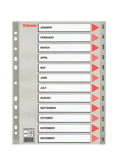 Separatore in PPL grigio mensile GEN-DIC f.to A4 ESSELTE 100114 ESSELTE DIVISORI-SEPARATORI CON TASTI STAMPATI