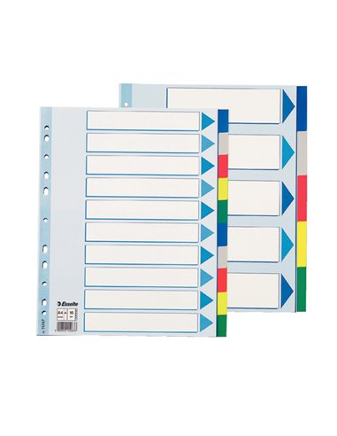 Separatore neutro in PPL 10 tasti colorati f.to A4 MAXI 24,5x29,7cm ESSELTE 15267 ESSELTE DIVISORI-SEPARATORI CON TASTI NEUTRI