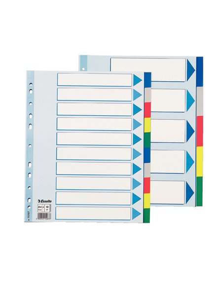 Separatore neutro in PPL 10 tasti colorati f.to A4 MAXI 24,5x29,7cm ESSELTE 15267 ESSELTE DIVISORI-SEPARATORI CON TASTI NEUTRI