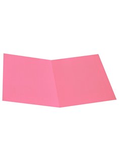100 CARTELLINE SEMPLICI ROSA S/STAMPA 145GR CG0113MFXXXAK11 CART. GARDA CARTELLINE SEMPLICI