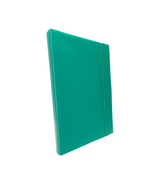 CARTELLINA PROGETTO 3 U140 VERDE C/ELASTICO 24X35 DORSO 3 U140-VE FELLOWES CARTELLINE IN PLASTICA CON ELASTICO