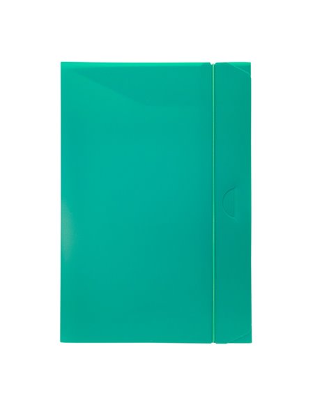 CARTELLINA PROGETTO 3 U140 VERDE C/ELASTICO 24X35 DORSO 3 U140-VE FELLOWES CARTELLINE IN PLASTICA CON ELASTICO
