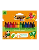 ASTUCCIO 12 PASTELLI KIDS PLASTIDECOR TRIANGLE BIC 8297733