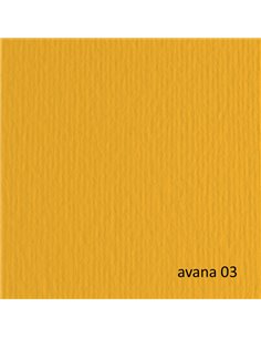 BLISTER 20FG CARTONCINO 50X70 220GR AVANA 103 FABRIANO ELLE ERRE 42450703