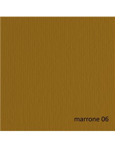 BLISTER 20FG CARTONCINO 50X70 220GR MARRONE 106 FABRIANO ELLE ERRE 42450706 FABRIANO CARTONCINO COLORATO