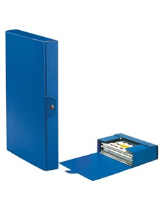 Scatola progetto C24 25x35cm dorso 4 blu ESSELTE 390324050