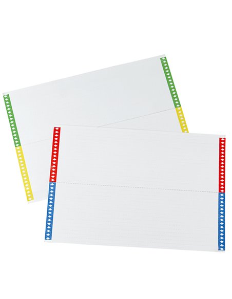 PACK 10FG A4 DA 28 CARTONCINI 310MM X CART. SOSPESE CASSETTO 032-10 BERTESI ETICHETTE PER CART. SOSPESE