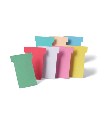 100 SCHEDE A T INDICE 2 BIANCHE PER PLANNERS 2002002 NOBO PLANNING E ACCESSORI