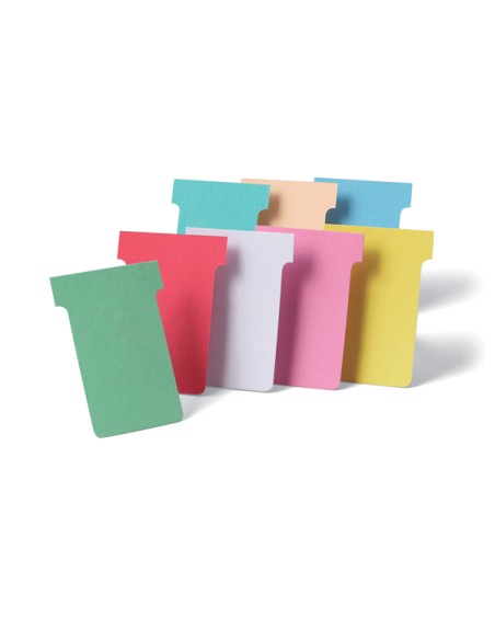 100 SCHEDE A T INDICE 2 BIANCHE PER PLANNERS 2002002 NOBO PLANNING E ACCESSORI