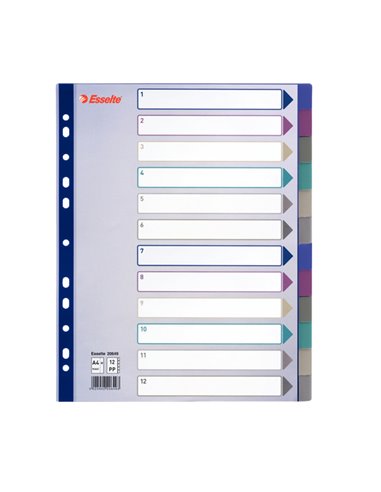 Separatore in PPL traslucido 12 tasti f.to A4 MAXI 24,5x29,7cm ESSELTE 20649 ESSELTE DIVISORI-SEPARATORI CON TASTI NEUTRI