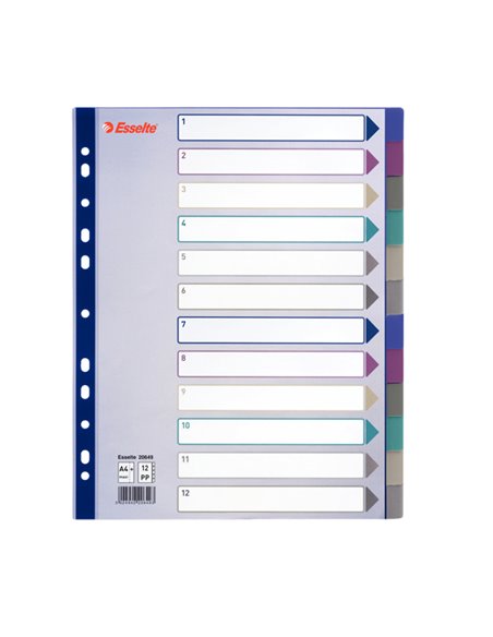 Separatore in PPL traslucido 12 tasti f.to A4 MAXI 24,5x29,7cm ESSELTE 20649 ESSELTE DIVISORI-SEPARATORI CON TASTI NEUTRI