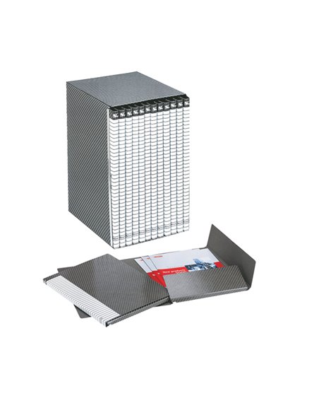 Gruppo DELSO LINE I55 12 cartelle 2 lembi dorso 1,5cm ESSELTE 390955040