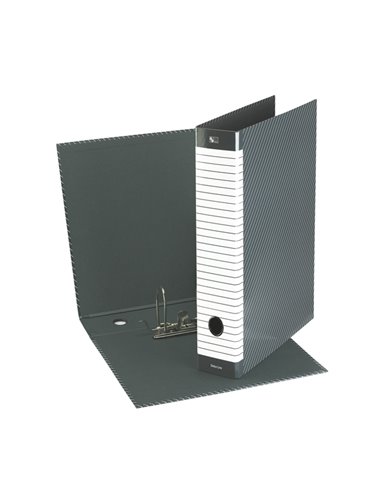 Registratore DELSO LINE G14 dorso 5cm f.to protocollo ESSELTE 390714060 ESSELTE REGISTRATORI A LEVA
