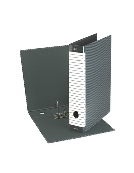 Registratore DELSO LINE G14 dorso 5cm f.to protocollo ESSELTE 390714060 ESSELTE REGISTRATORI A LEVA