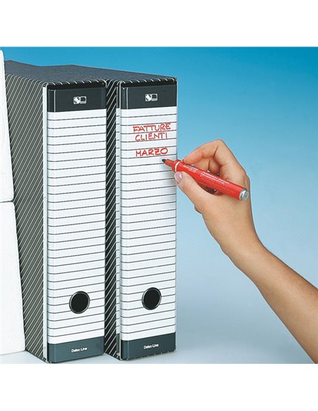 Registratore DELSO LINE G13 dorso 8cm f.to commerciale ESSELTE 390713060
