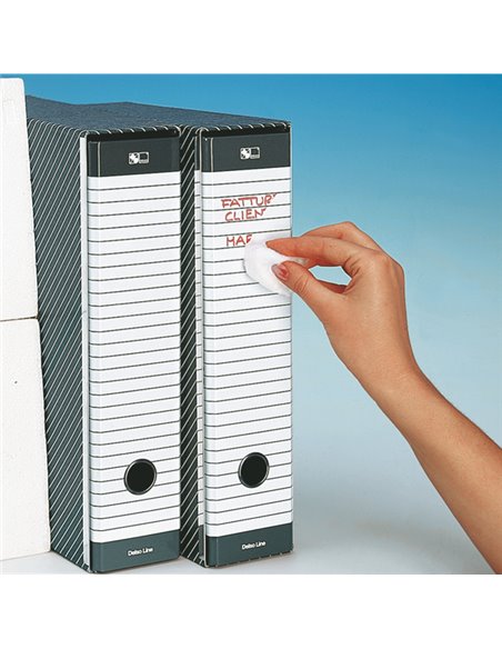 Registratore DELSO LINE G13 dorso 8cm f.to commerciale ESSELTE 390713060