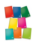 MAXIQUADERNO A4 36fg+2 100gr riga di 1a MONOCROMO 100 02298880A