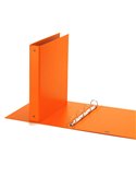 Raccoglitore Europa 4010 22x30mm 4R dorso 30 arancio Favorit 400051153