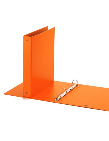 Raccoglitore Europa 4010 22x30mm 4R dorso 30 arancio Favorit 400051153