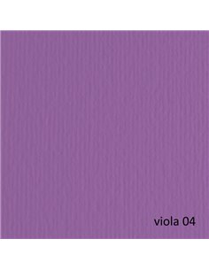 BLISTER 10FG CARTONCINO 70X100 220GR VIOLA 104 FABRIANO ELLE ERRE 46470104