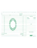 100 SCHEDE PER DENTISTI 17X24CM VERDE E3529 EDIPRO E3529