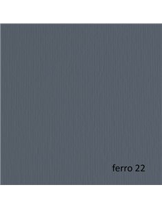 BLISTER 10FG CARTONCINO 70X100 220GR FERRO 122 FABRIANO ELLE ERRE 46470122