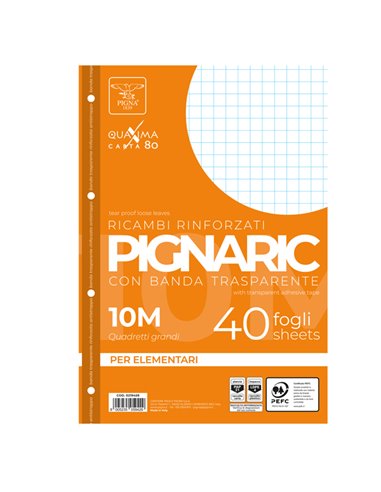 RICAMBI FORATI RINFORZATI A4 10MM 40FG 80GR PIGNARIC 021945910 PIGNA RICAMBI FORATI