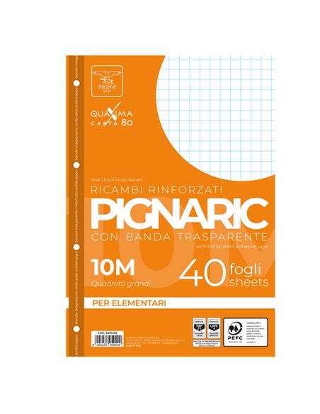 RICAMBI FORATI RINFORZATI A4 10MM 40FG 80GR PIGNARIC 021945910 PIGNA RICAMBI FORATI