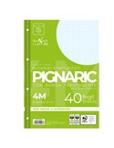 RICAMBI FORATI RINFORZATI A4 4MM 40FG 80GR PIGNARIC 02194594M