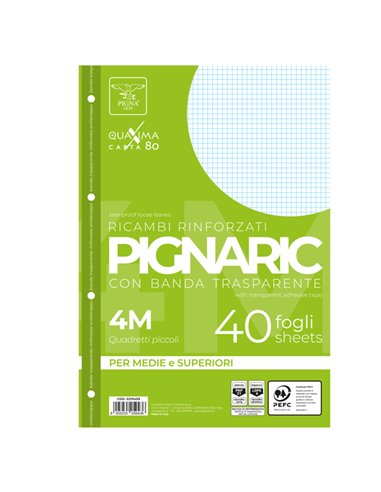 RICAMBI FORATI RINFORZATI A4 4MM 40FG 80GR PIGNARIC 02194594M