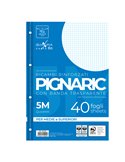 RICAMBI FORATI RINFORZATI A4 5MM 40FG 80GR PIGNARIC 02194595M