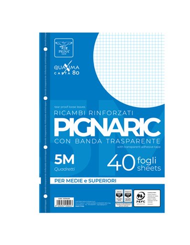 RICAMBI FORATI RINFORZATI A4 5MM 40FG 80GR PIGNARIC 02194595M PIGNA RICAMBI FORATI