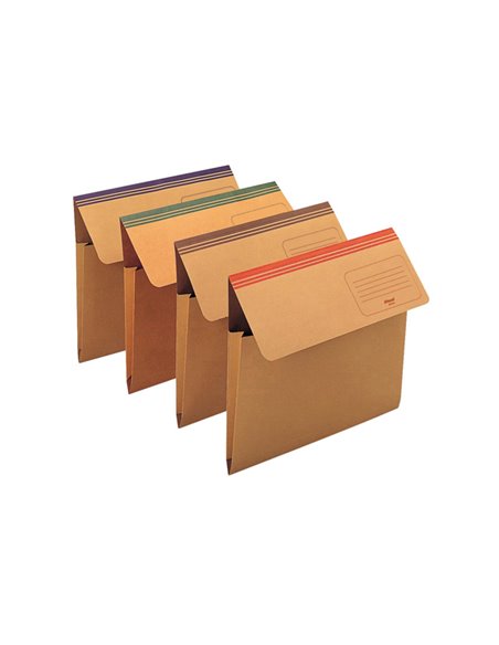 CARTELLINA A BUSTA DIXIE MEC ASSORTITO (299) REXEL 00029955