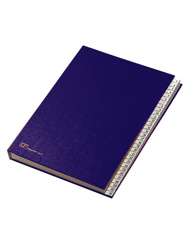 MONITORE 1/31 FRASCHINI FORMATO UTILE 24X34CM BLU ART.643-E 643E-BLU FRASCHINI CLASSIFICATORI
