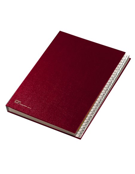 MONITORE 1/31 FRASCHINI FORMATO UTILE 24X34CM ROSSO ART.643-E 643E-ROSSO FRASCHINI CLASSIFICATORI