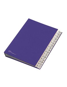 MONITORE 1/31 FRASCHINI FORMATO 24X34CM BLU ART. 643-D 643D-BLU FRASCHINI CLASSIFICATORI
