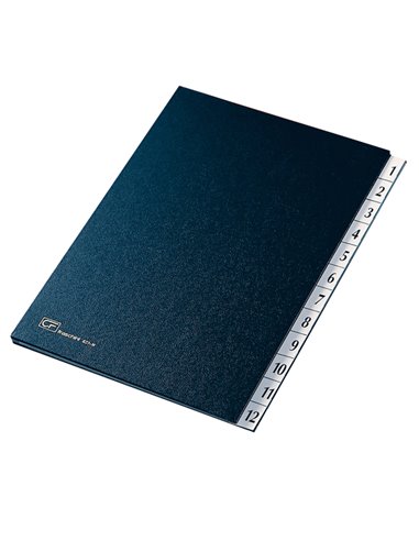 MONITORE 1/12 FRASCHINI FORMATO 24X34CM BLU ART. 627-N 627N-BLU FRASCHINI CLASSIFICATORI