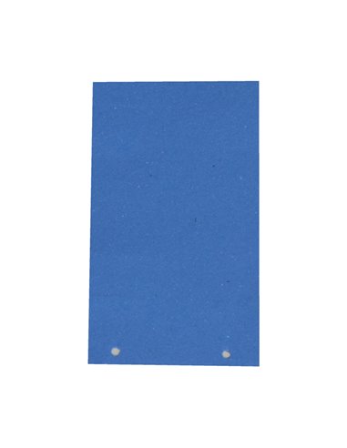 200 SEPARATORI MANILLA 200GR 125X230MM AZZURRO CDG CG0800MLXXXAL06