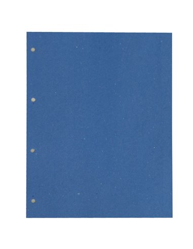 200 SEPARATORI MANILLA 200GR 220X300MM AZZURRO CDG CG0810MLXXXAL06 CART. GARDA DIVISORI-SEPARATORI CON TASTI NEUTRI