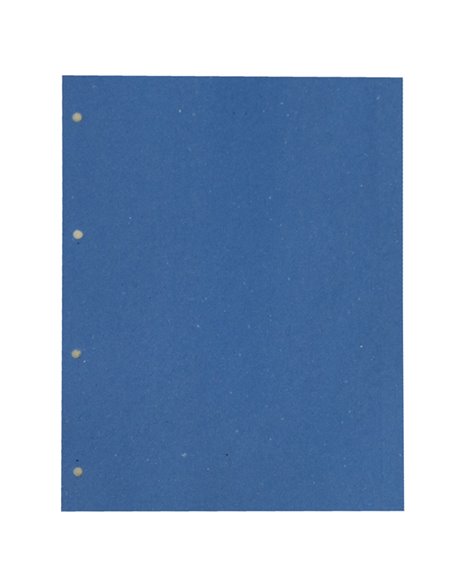 200 SEPARATORI MANILLA 200GR 220X300MM AZZURRO CDG CG0810MLXXXAL06 CART. GARDA DIVISORI-SEPARATORI CON TASTI NEUTRI