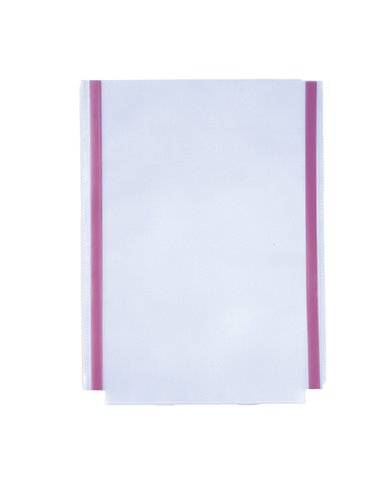 10 TASCHE ADESIVE GS CON SOFFIETTO 22x30CM 318129