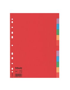 Separatore economy in cartoncino 160gr colorato 12 tasti A4 ESSELTE 100202 ESSELTE DIVISORI-SEPARATORI CON TASTI NEUTRI
