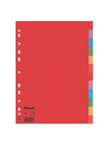 Separatore economy in cartoncino 160gr colorato 12 tasti A4 ESSELTE 100202 ESSELTE DIVISORI-SEPARATORI CON TASTI NEUTRI