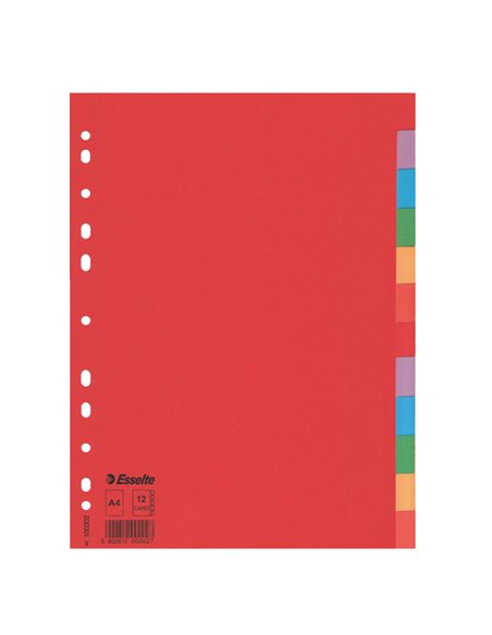 Separatore economy in cartoncino 160gr colorato 12 tasti A4 ESSELTE 100202 ESSELTE DIVISORI-SEPARATORI CON TASTI NEUTRI