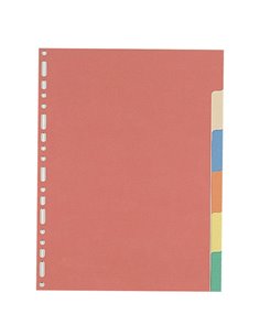 SEPARATORE 21X29,7 6TASTI CARTONCINO COLORATO 240GR FAVORIT 100204883 FAVORIT DIVISORI-SEPARATORI CON TASTI NEUTRI