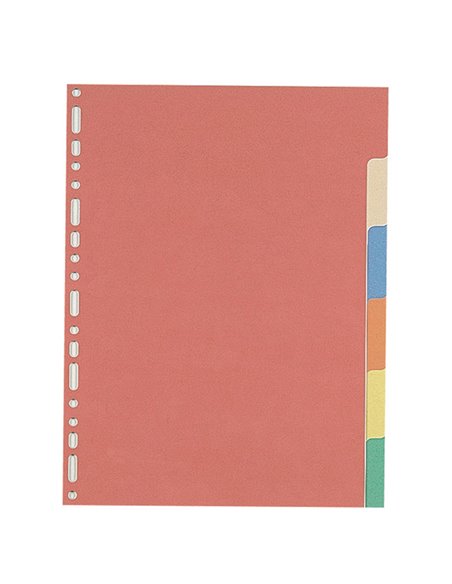 SEPARATORE 21X29,7 6TASTI CARTONCINO COLORATO 240GR FAVORIT 100204883 FAVORIT DIVISORI-SEPARATORI CON TASTI NEUTRI