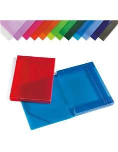 CARTELLA PPL C/ELASTICO TRASPARENTE ASSORTITI 355X265MM DORSO 30 2525-ASS LEBEZ CARTELLINE IN PLASTICA CON ELASTICO