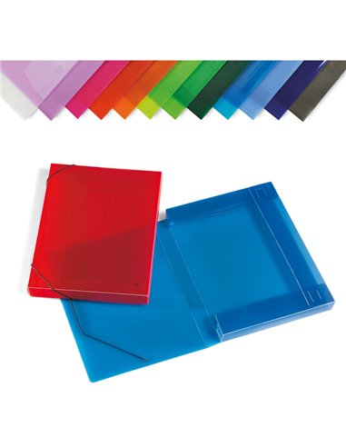 CARTELLA PPL C/ELASTICO TRASPARENTE ASSORTITI 355X265MM DORSO 30 2525-ASS LEBEZ CARTELLINE IN PLASTICA CON ELASTICO
